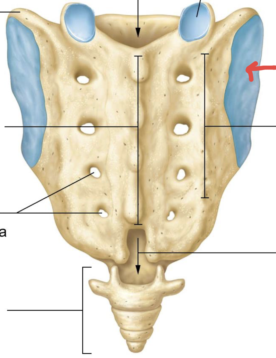 <p>what is this?</p>