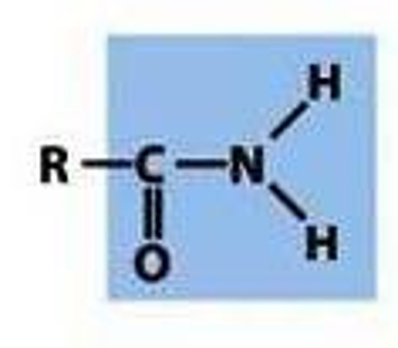 <p>-a carbonyl group bonded to an amino group</p>