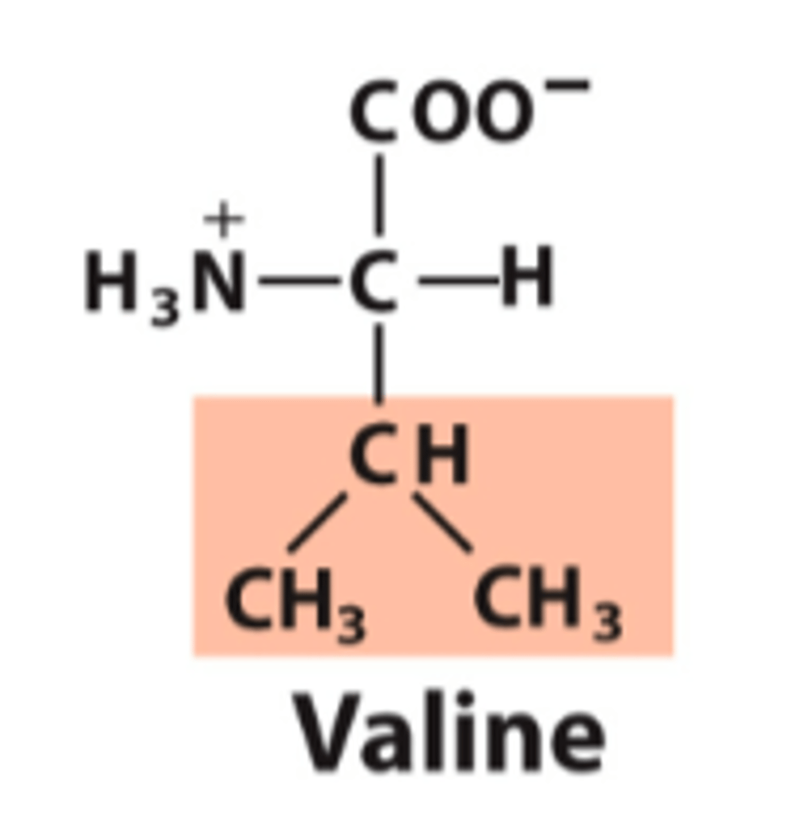 <p>What is the classification of this amino acid's R group?</p>