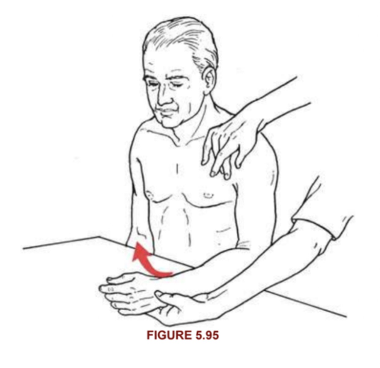 <p>Infraspinatus, teres minor, (supraspinatus, deltoid posterior)</p><p>Position: </p><p>Instruction: </p><p>2/5: not able to complete available rom</p><p>1/5: palpable contraction </p><p>0/5: no palpable contractile activity</p>