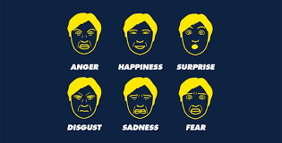 <p>Emotions that are recognized and experienced across all cultures, including happiness, sadness, fear, disgust, anger, and surprise. </p>