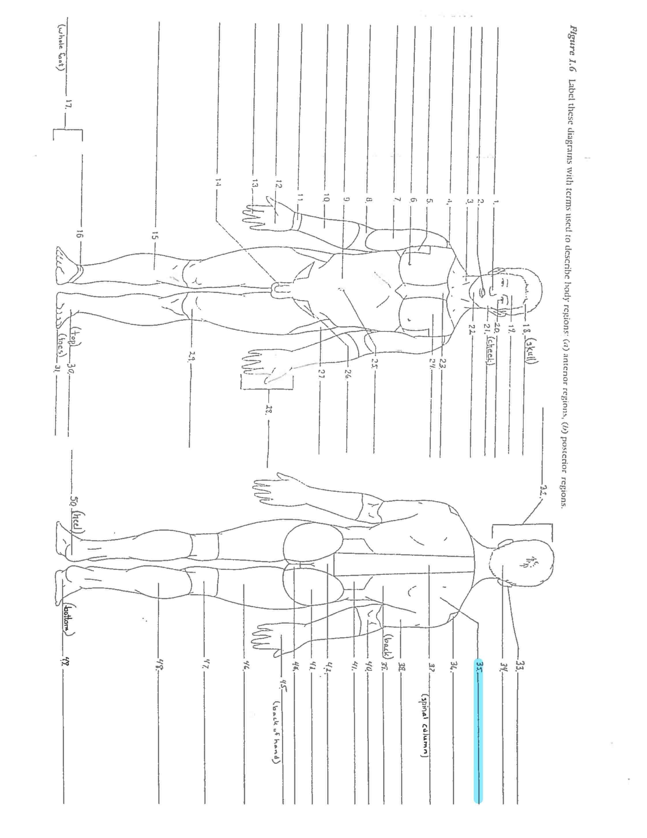 <p>Line 35</p>