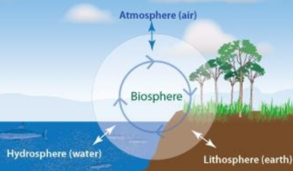 <p>ensemble des écosystèmes présents dans les trois zones de la planète : la lithosphère, l&apos;atmosphère et l&apos;hydrosphère</p>