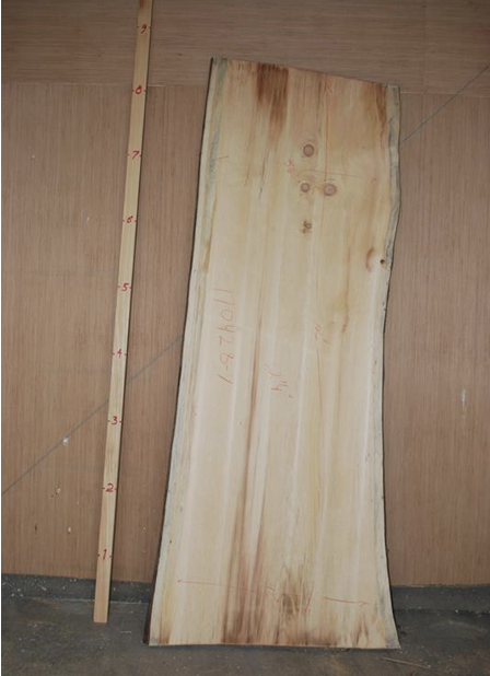 <p>Appearance: dark brown uniform discoloration at surfaces during klin dry, longitudinally oriented lenticular-brown discolorations. occurs in sapwood, heartwood, or interface. Caused by oxidation of extractives at fresh surfaces. No effect.</p>