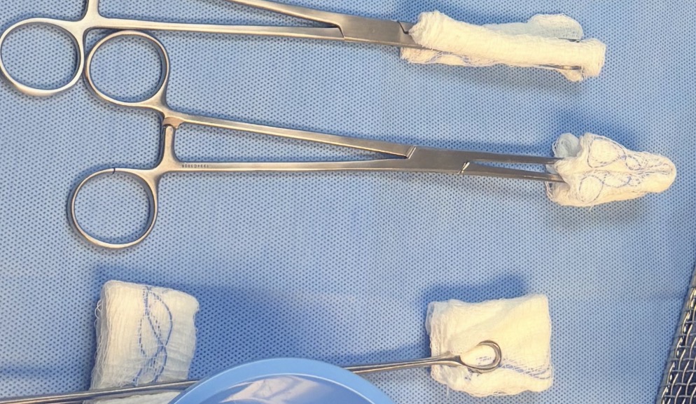 <p>Sponge stick </p>