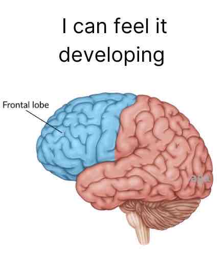 <p>Frontal Lobe </p>