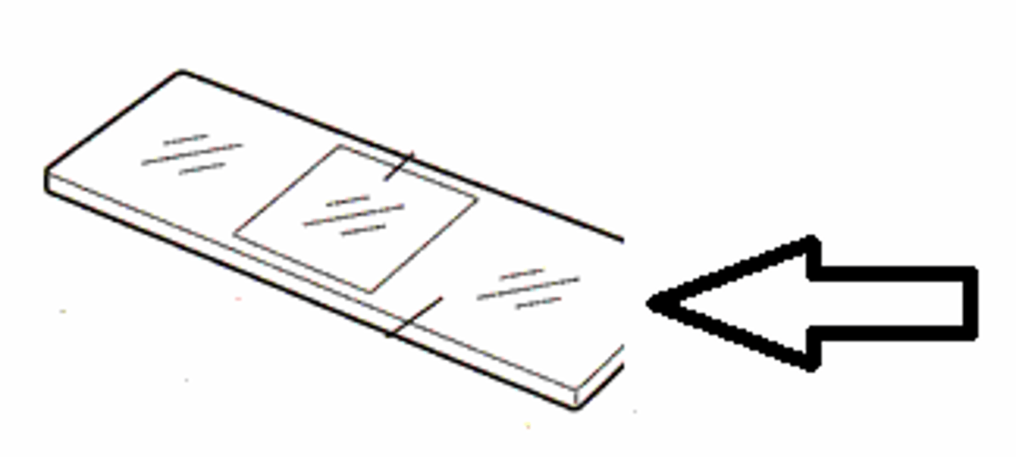 <p>Used to place specimen</p>