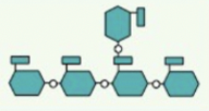 <p>what is this</p>