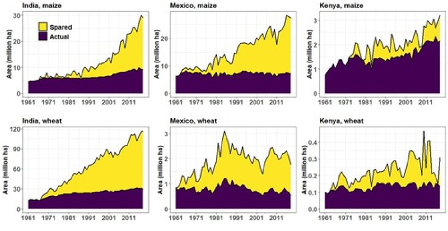 <p>CIMMYT's genetic materials are present in over half of maize and 75% of wheat varieties in low- and middle-income countries.</p>