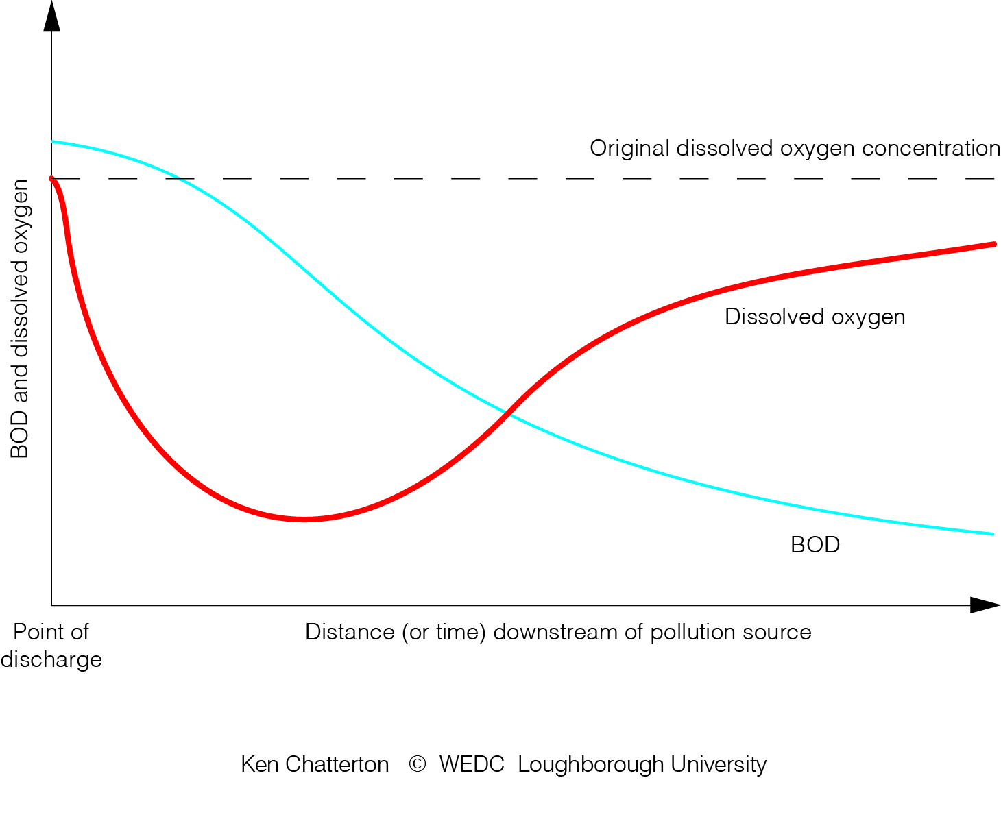 Oxygen depletion from pollution in rivers and lakes (Less DO, less animals can survive)*
