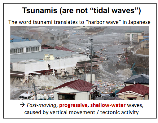 <p>-fast-moving, progressive, shallow-water waves caused by vertical movement / tectonic activity</p><p>-“harbor wave” in Japanese</p>
