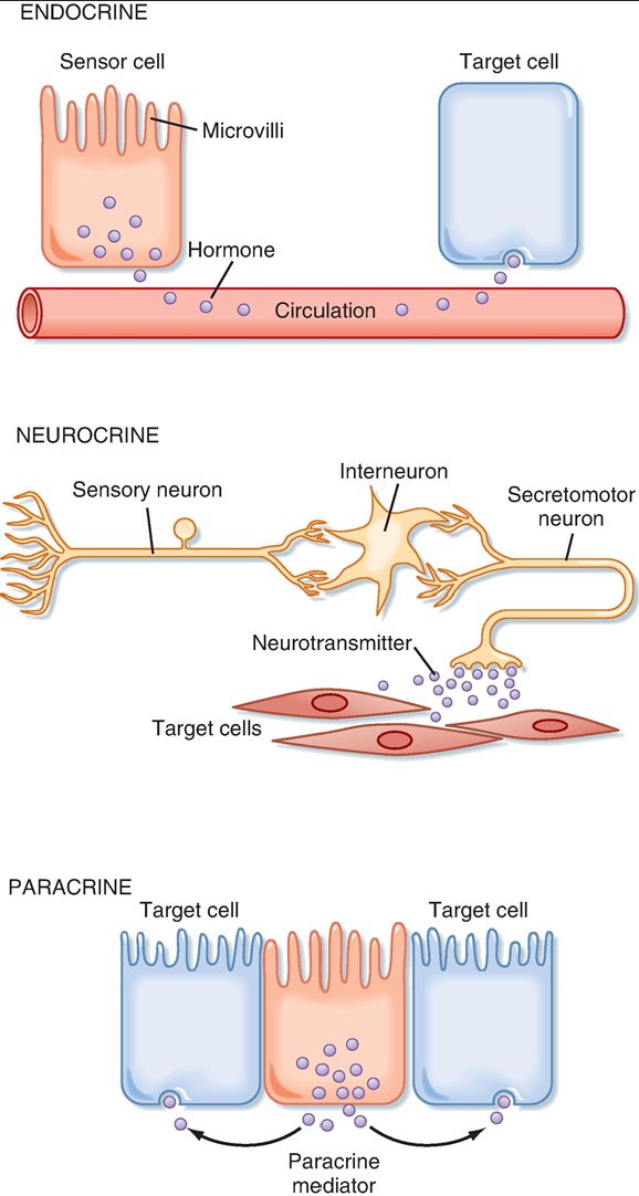 <p>There are three principal control mechanisms involved in the regulation of GI function:&nbsp;<br>1.Endocrine <br>2.Paracrine<br>3. Neurocrine</p>