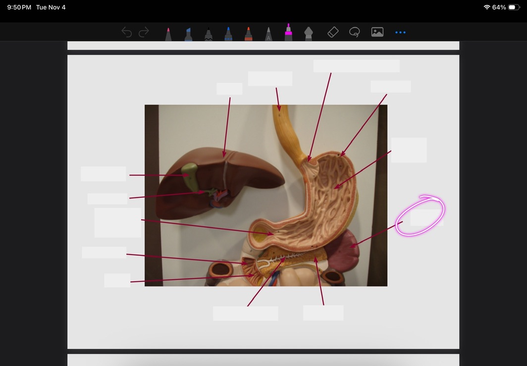 <p>What is this?</p>