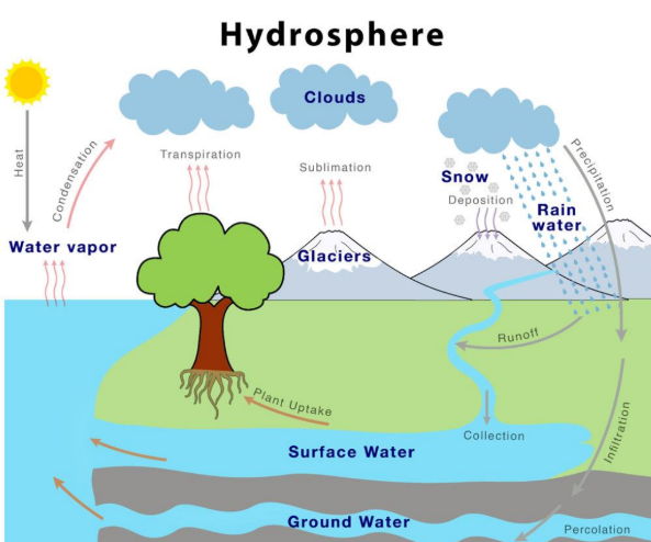 <ul><li><p>Organic materials derived from living or recently living organisms, such as plants, animals, and microorganisms.</p></li><li><p>These materials can be used as a source of energy (converted into biofuel)</p></li><li><p>Examples- wood, organic waste, agricultural byproducts, etc.</p></li></ul><p></p>