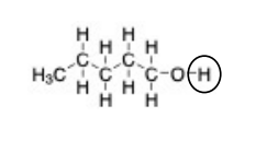 <p>In the molecule shown, the indicated proton is</p><ul><li><p><strong>a. </strong>non-acidic because the O-H bond is non-polar.</p></li><li><p><strong>b. </strong>non-acidic because the O-H is connected to a carbon that is only connected to C and H atoms.</p></li><li><p><strong>c. </strong>acidic because the O-H bond is non-polar.</p></li><li><p><strong>d. </strong>acidic because the O-H bond is ionic.</p></li></ul>