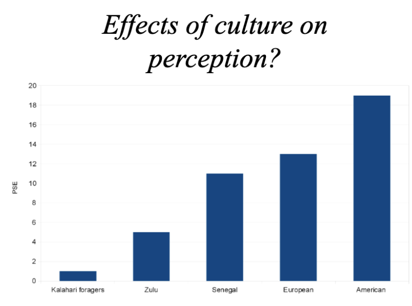 <p>Question: What are the effects of culture on perception? Will people from different cultures be differentially susceptible to visual illusions?</p><p>Experiment: Cross-cultural studies of 17 societies</p><ul><li><p>Hunter-gatherers from the Kalahari Desert</p></li><li><p>Australian Aboriginal foraging culture</p></li><li><p>Filipino horticulturalists</p></li><li><p>US midwesterners</p></li></ul><p>Results: Americans and Europeans live in highly constructed environments (modern industrialized society) and make more visual perception mistakes. While hunter-gatherers live in no manufactured environment, they did not make a lot of mistakes. </p><p>Analysis: Your perception is built from previous experience. You are not susceptible to visual illusion when you live in a less structured environment. </p>