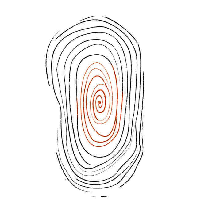 <p>Whorl</p>
