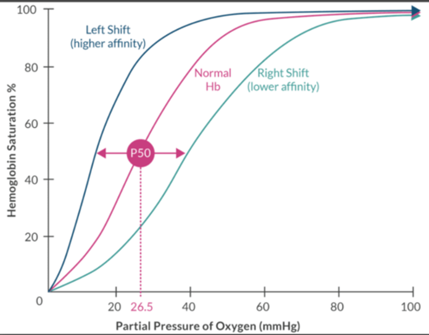 <p>Tells us how Hgb binds to oxygen. </p><p>Normal P50 is 26.5mmHg. </p><p>Left shift (love) - ↑ affinity </p><p>occurs in the lungs</p><p>↑ pH</p><p>↓ temperature </p><p>↓ 2,3 DPG</p><p>↓ CO </p><p>↓ [H+]</p><p>↑ HgbMet</p><p>↑ HgbCO </p><p>↑ HgbF</p><p>Right shift (release) - ↓ affinity</p><p>occurs near metabolically active tissue </p><p>↓ pH </p><p>↑ temperature </p><p>↑ 2,3 DPG</p><p>↑ CO</p><p>↑ [H+]</p>