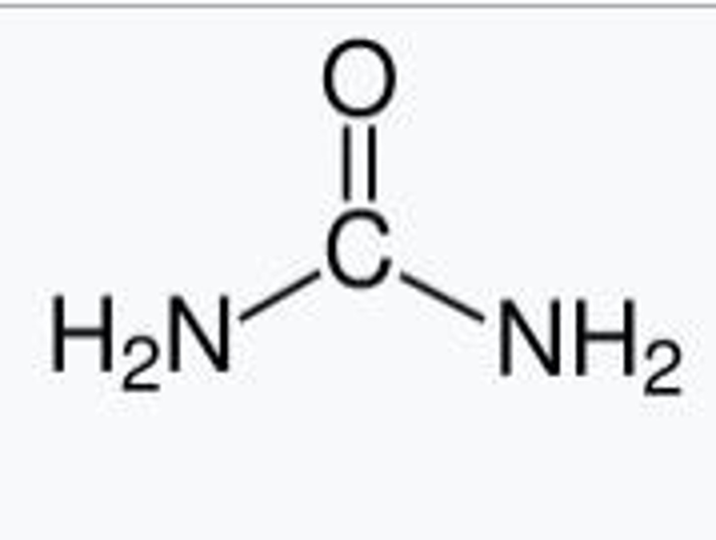 <p>Nitrogen is excreted primarily as urea and uric acid, with urea being produced when nitrogen is in excess.</p>