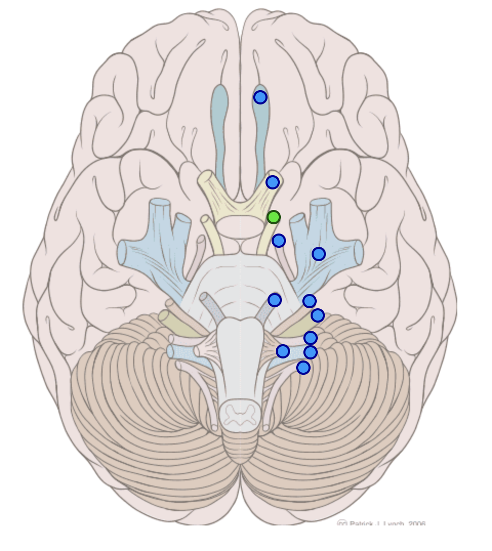 knowt flashcard image