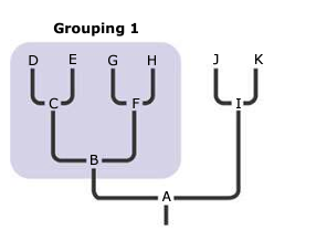 <p>monophyletic clade</p>