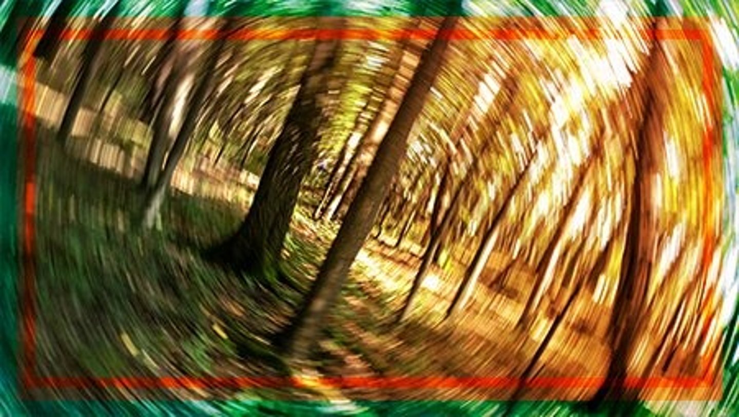 <p>(C) Hallucinogens</p><p>Hallucinogens are referred to as psychedelics and known for causing distorted perception in its users such as heightened sensations, mood swings and increased/decreased energy, however the exact effect is different for each individual personality.</p><p>Examples: LSD, psilocybin (mushrooms), PCP</p>