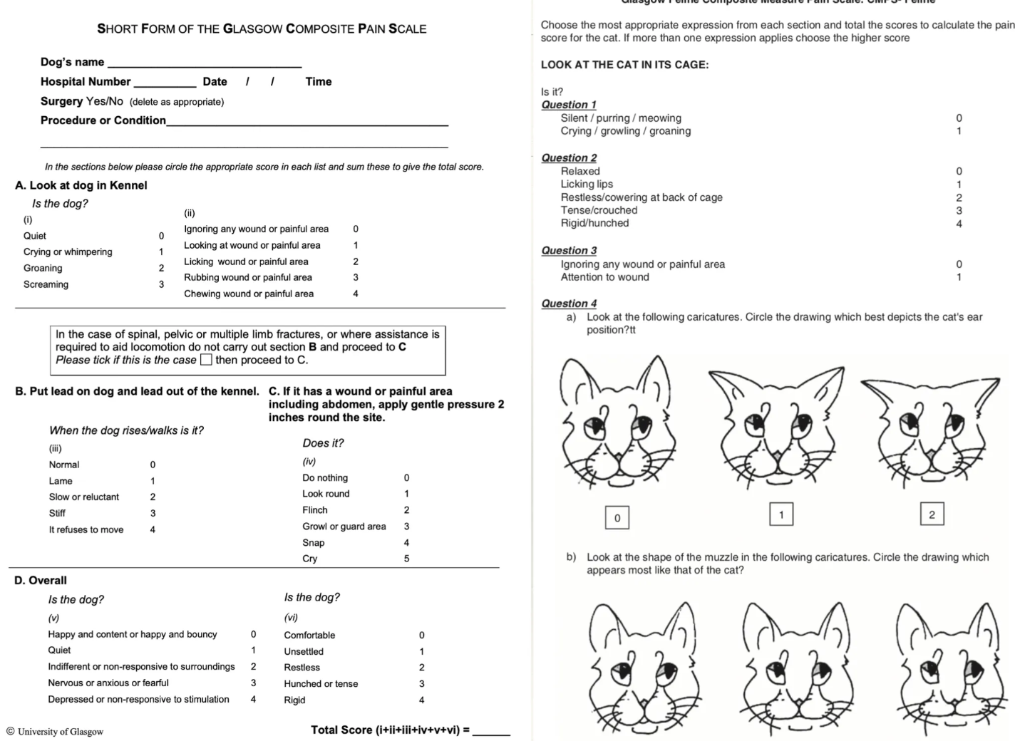 <ol><li><p><strong>Behaviour</strong> = Unprovoked assessment of response to normal stimuli)</p></li><li><p><strong>Response to analgesia</strong> = Change in behaviour, ANS etc.</p></li><li><p><strong>Autonomic signs</strong> = HR and RR</p></li><li><p><strong>Electroencephalogram</strong> (EEG)</p></li><li><p><strong>Pain scores</strong> = Glasgow composite pain scale</p></li></ol><p></p>