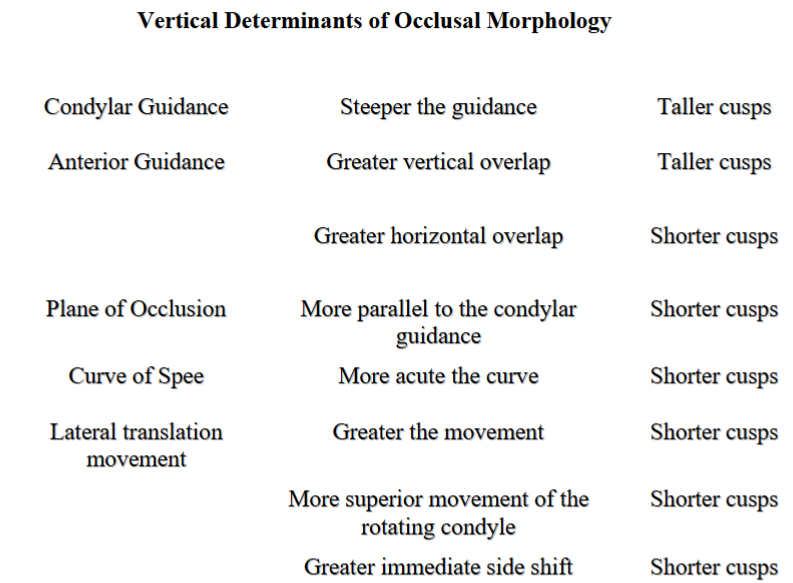 <p>plane of occlusion</p><p>curve of spee</p><p>mandibular lateral translation movement</p><p>(others: condylar guidance, anterior guidance, nearness of cusps to the controlling factors) </p>