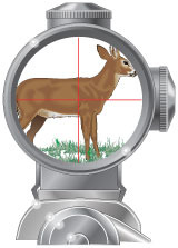 <p>This sighting device consists of a main tube with lenses to magnify distant objects, it has line reticles for lining up the center of a target. This sight is mounted on top of the barrel or action of a firearm.</p>