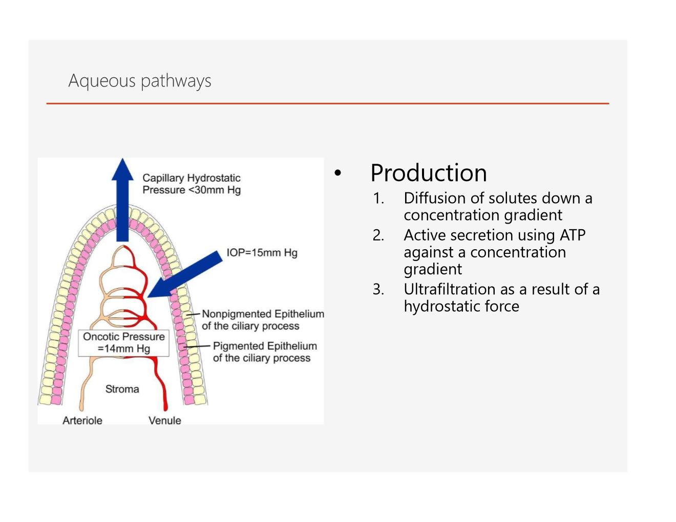 <img src="https://knowt-user-attachments.s3.amazonaws.com/99a3b9ae-3640-40ab-82dc-78fb499a9907.png" data-width="100%" data-align="center"><p></p>