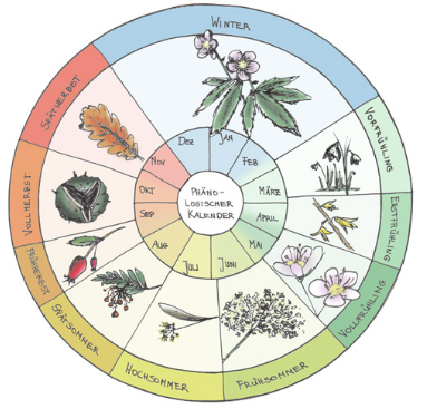 <p><span style="color: green;">das Jahr</span></p>