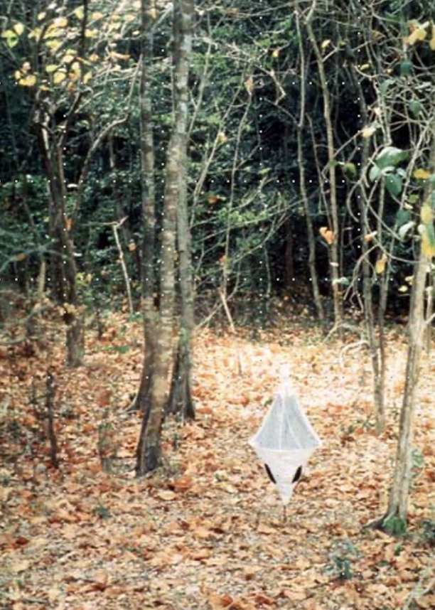 <p>Traps and Targets: What trap is this called?</p>