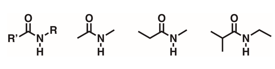 <p>A carbonyl flanked by a nitrogen. N must have 1 hydrogen</p>