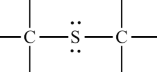 <p>Sulfur atom single bonded to two Carbon atoms</p>