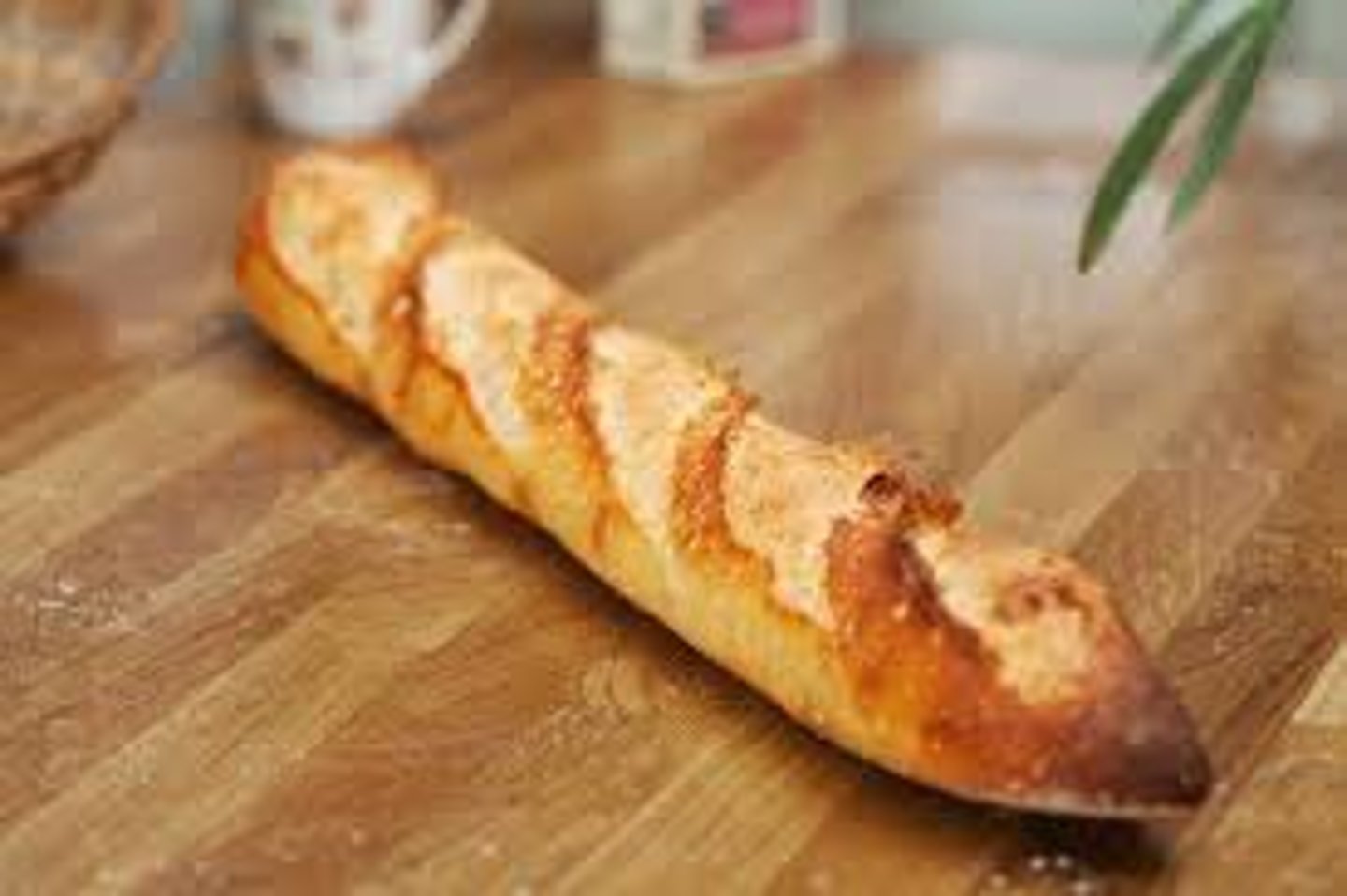 <p>a baguette</p>