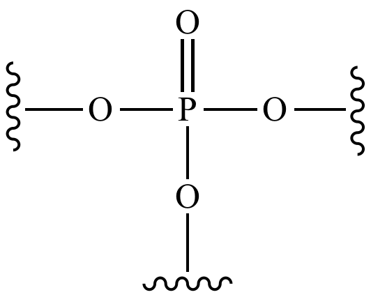 <p>-good for energy transfer</p><p>-found in ATP(it’s the P, by the way) and special lipids for the cell membrane</p>