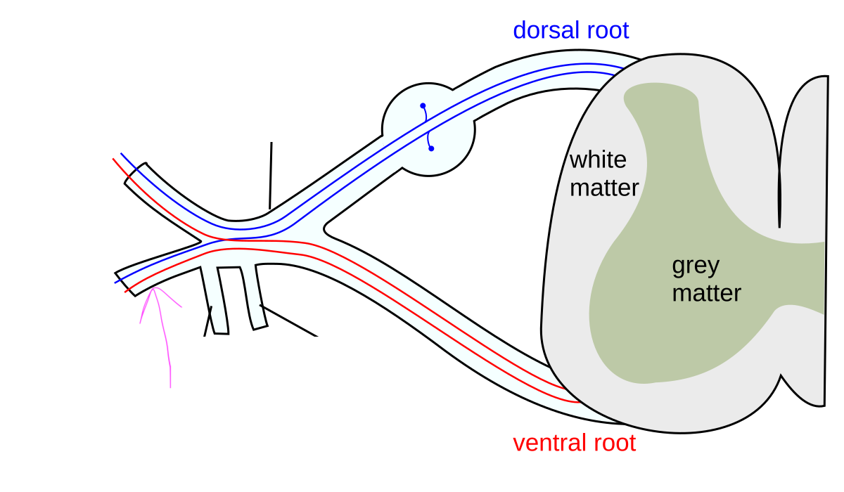 <p>What is this feature? </p>