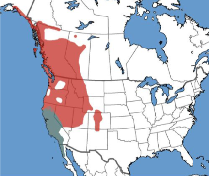 <p>Who’s range map?</p>