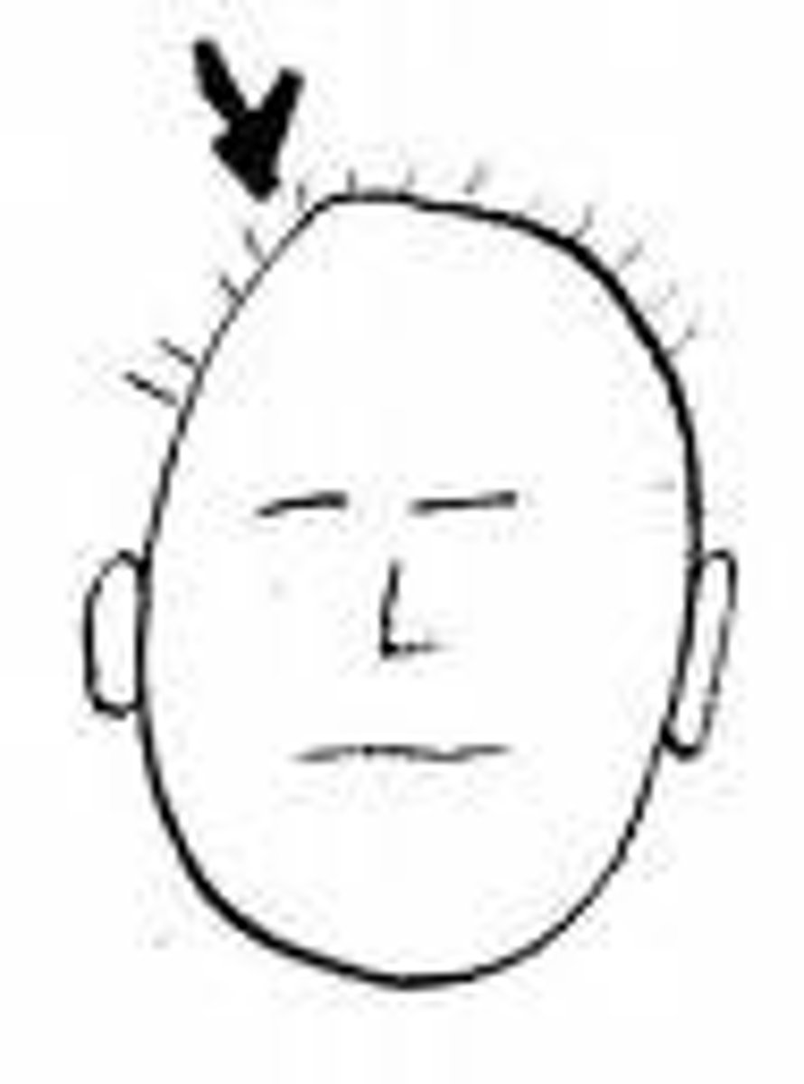 <p>head</p>