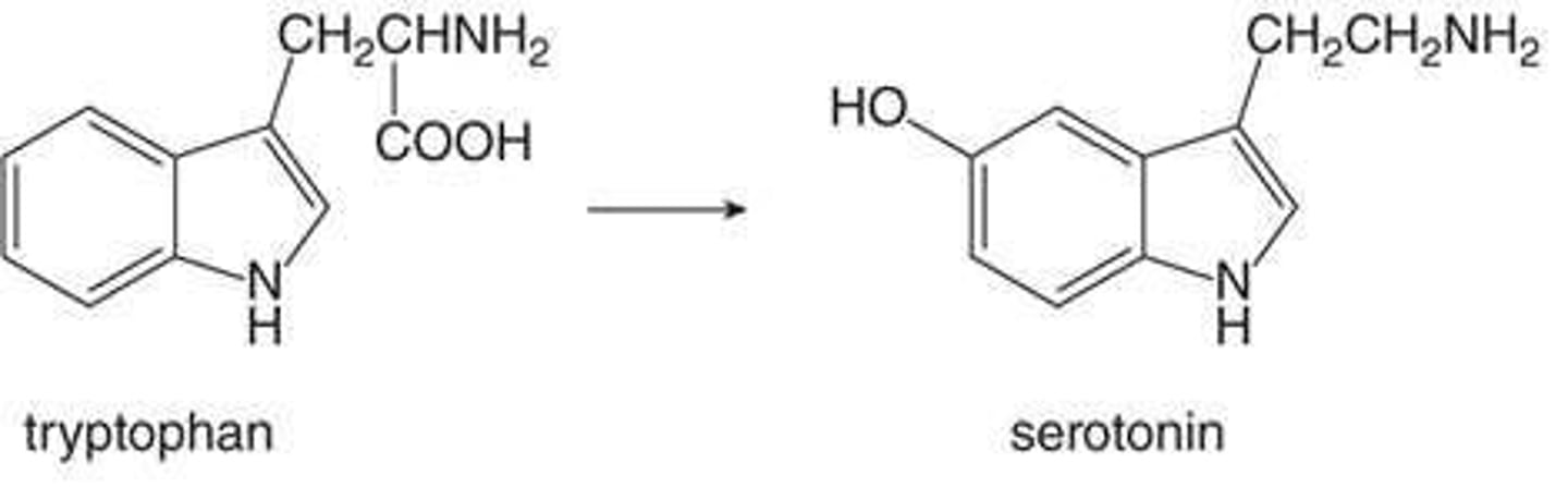 <p>Regulates mood, emotion, sleep, temperature, and activity levels.</p>
