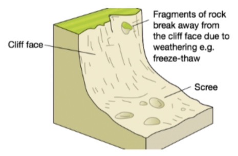 <p>Which type of mass movement is shown?</p>
