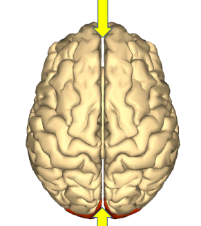 <p>Label the middle vertical line</p>