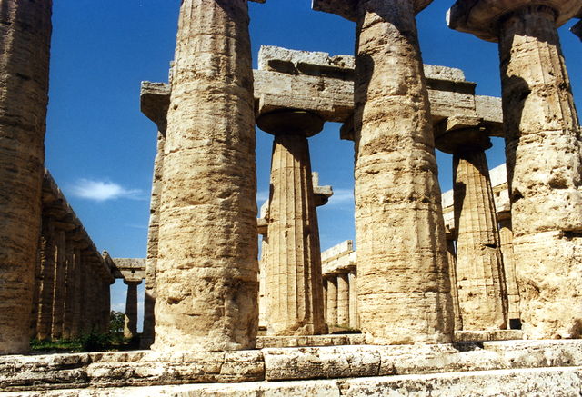 <p>In architettura è il rigonfiamento (o ingrossamento) del fusto della colonna, solitamente a partire da un terzo della sua altezza. Questo rigonfiamento, dovuto alla rastremazione del diametro della colonna verso l'alto, è un accorgimento ottico che serve a correggere l'illusione di concavità che una colonna cilindrica, vista da lontano, può presentare.</p>