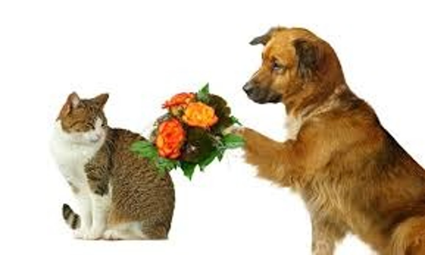 <p>to make up (with each other)</p>