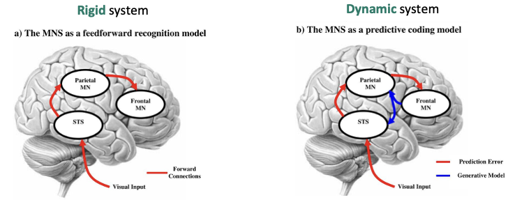 <p><mark data-color="yellow" style="background-color: yellow; color: inherit;">predictive coding:</mark> (in the context of rewards) <span><span>the brain makes predictions about the world and </span><u><span>updates</span></u><span> the model if there is a difference between predictions and actual sensory data</span></span></p><ul><li><p><span>the brain is constantly generating and updating predictions about incoming sensory information. When there is a mismatch between what is predicted and what is actually sensed (i.e., a PE), the brain adjusts its internal model to minimise that difference.</span></p></li></ul><p></p><p><span><mark data-color="yellow" style="background-color: yellow; color: inherit;"><span>Prediction error (PE):</span></mark><span> Difference between expected reward and actual outcome</span></span></p>