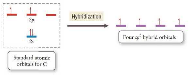 Hybridization of sp^3 orbital