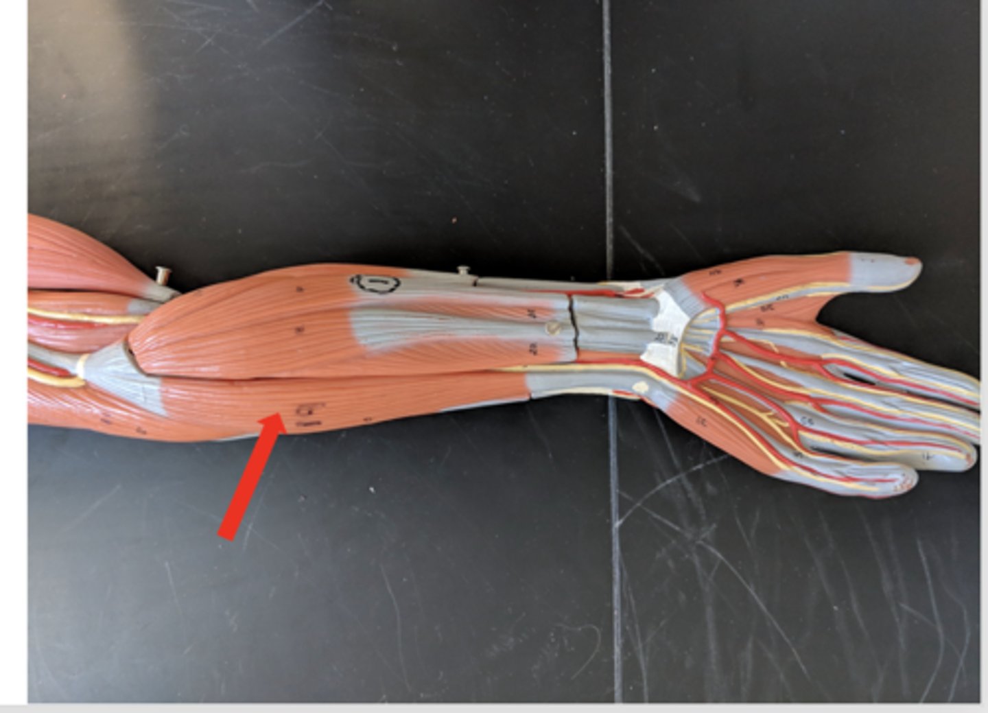 <p>what is this?</p>