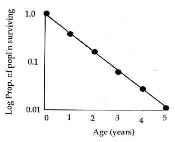 type 2 survivorship curve 