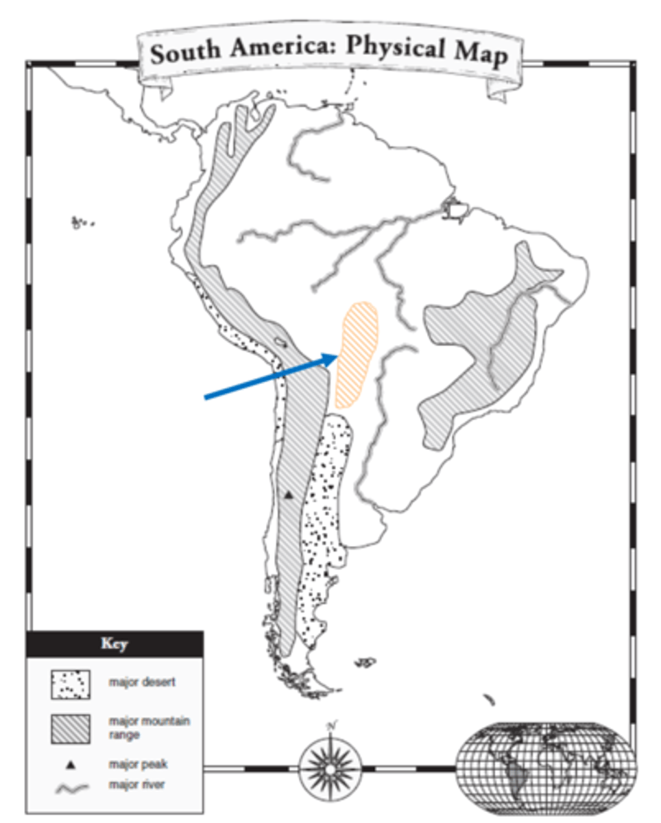 <p>Chaco rainforest</p>