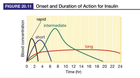 <p>Humalog/ rapid-acting</p>